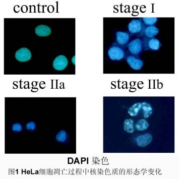 首页| 和记H88集团怡情博娱官网
