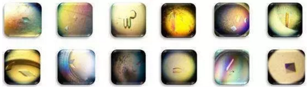 首页| 和记H88集团怡情博娱官网