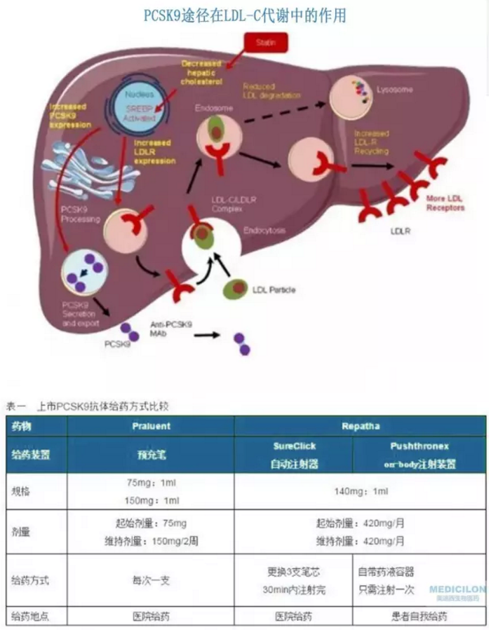 首页| 和记H88集团怡情博娱官网