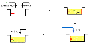 首页| 和记H88集团怡情博娱官网