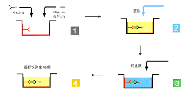 首页| 和记H88集团怡情博娱官网