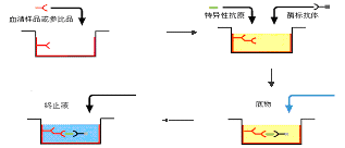 首页| 和记H88集团怡情博娱官网