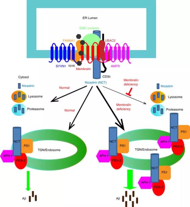 首页| 和记H88集团怡情博娱官网