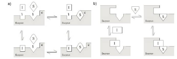 noncompetitive非竞争性抑造剂