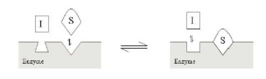 uncompetitive不竞争性抑造剂