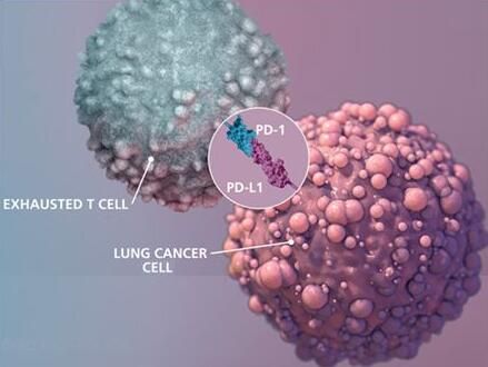 首页| 和记H88集团怡情博娱官网