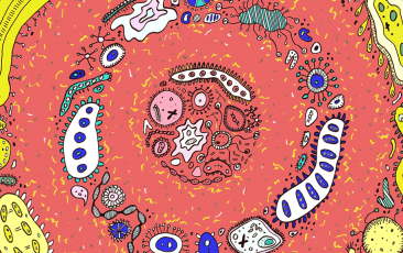 首页| 和记H88集团怡情博娱官网