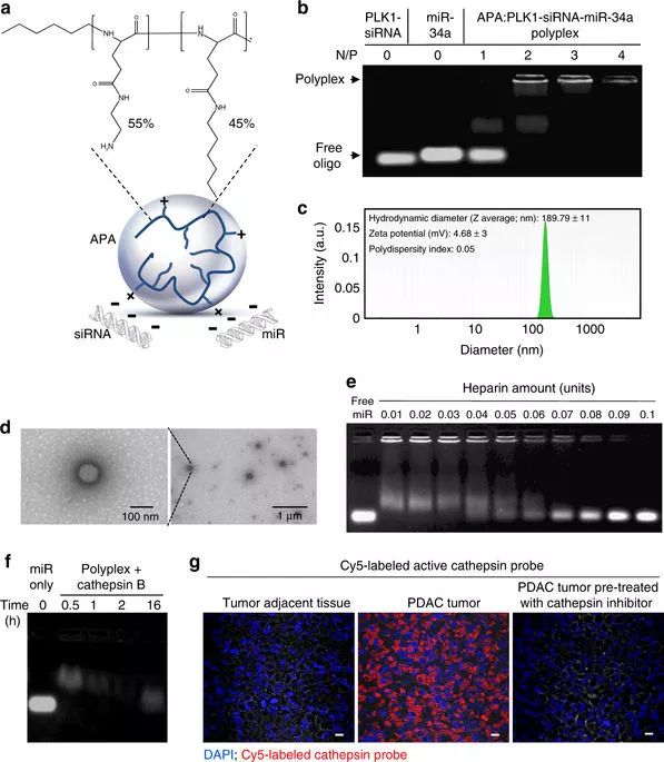 首页| 和记H88集团怡情博娱官网