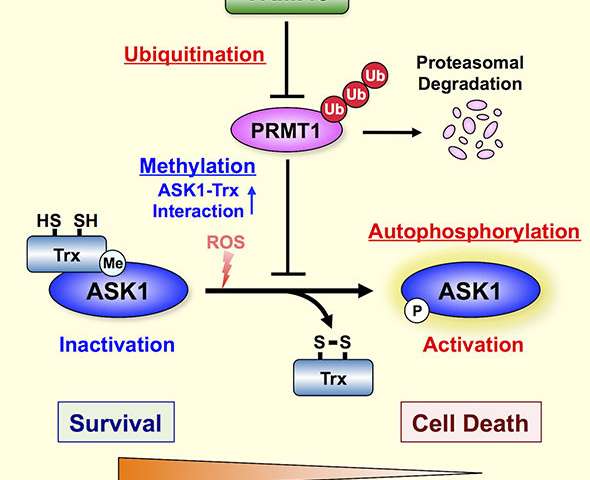 首页| 和记H88集团怡情博娱官网