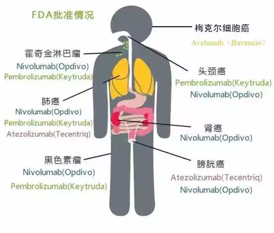 首页| 和记H88集团怡情博娱官网