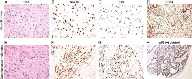 首页| 和记H88集团怡情博娱官网