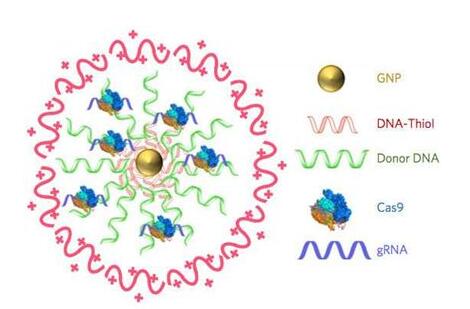 首页| 和记H88集团怡情博娱官网