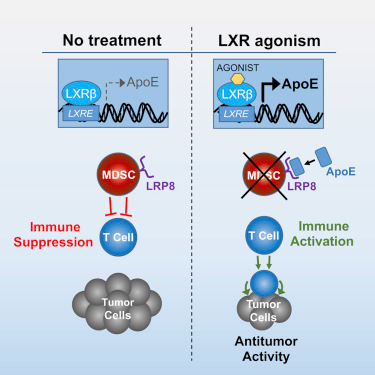 首页| 和记H88集团怡情博娱官网