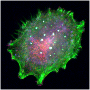 首页| 和记H88集团怡情博娱官网