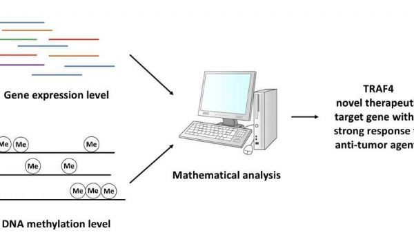 首页| 和记H88集团怡情博娱官网