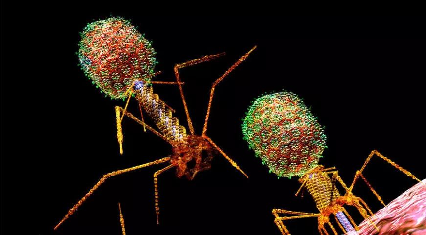 首页| 和记H88集团怡情博娱官网