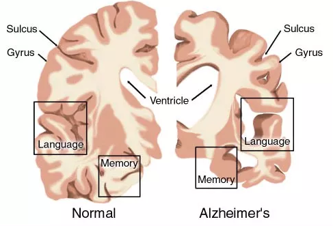 首页| 和记H88集团怡情博娱官网
