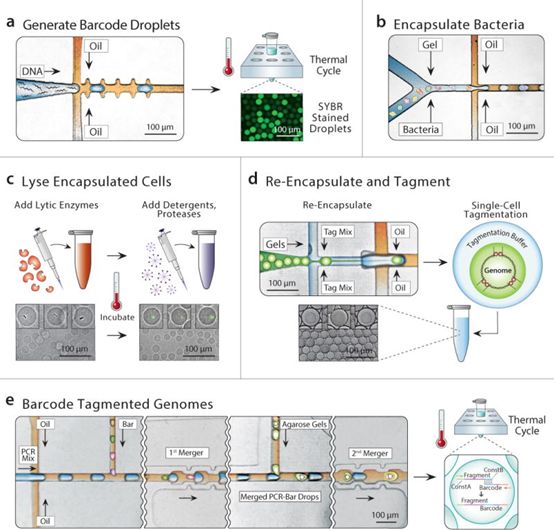 首页| 和记H88集团怡情博娱官网