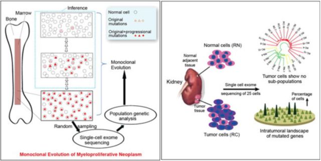 首页| 和记H88集团怡情博娱官网