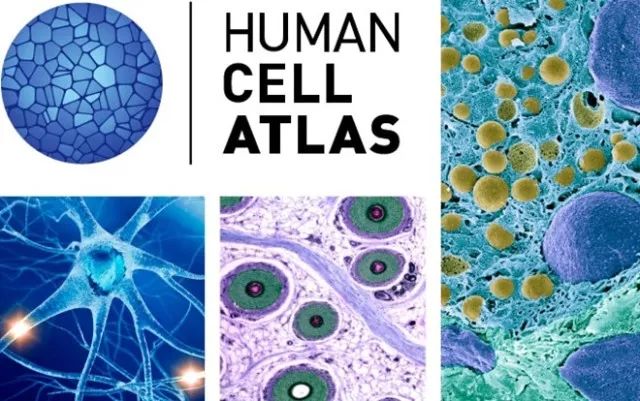 首页| 和记H88集团怡情博娱官网