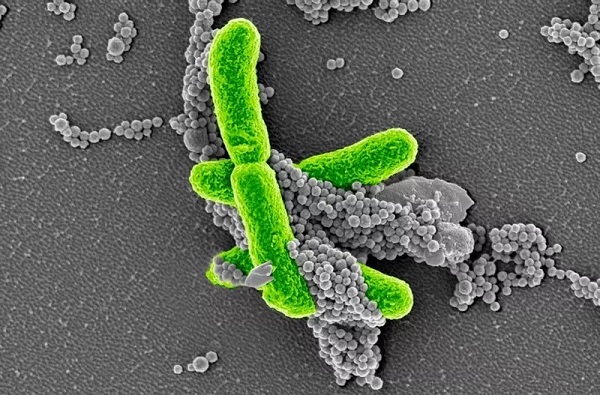 首页| 和记H88集团怡情博娱官网