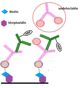 首页| 和记H88集团怡情博娱官网