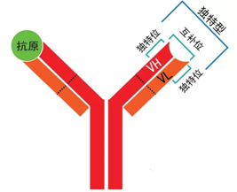 首页| 和记H88集团怡情博娱官网