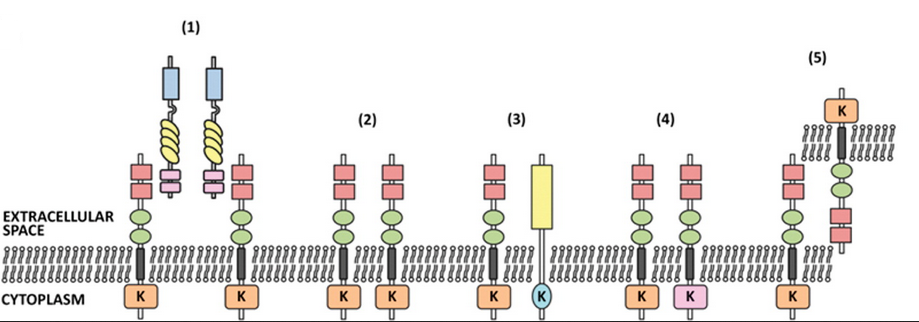 首页| 和记H88集团怡情博娱官网