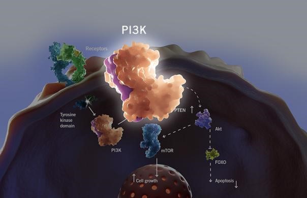 首页| 和记H88集团怡情博娱官网