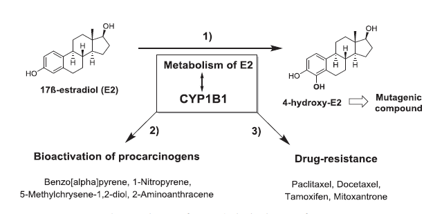 首页| 和记H88集团怡情博娱官网
