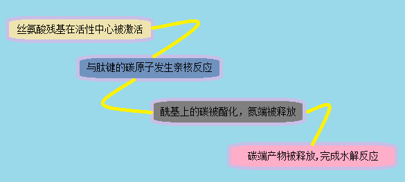 首页| 和记H88集团怡情博娱官网