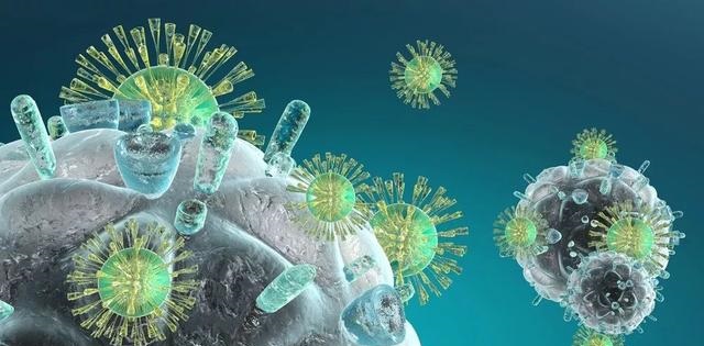 首页| 和记H88集团怡情博娱官网