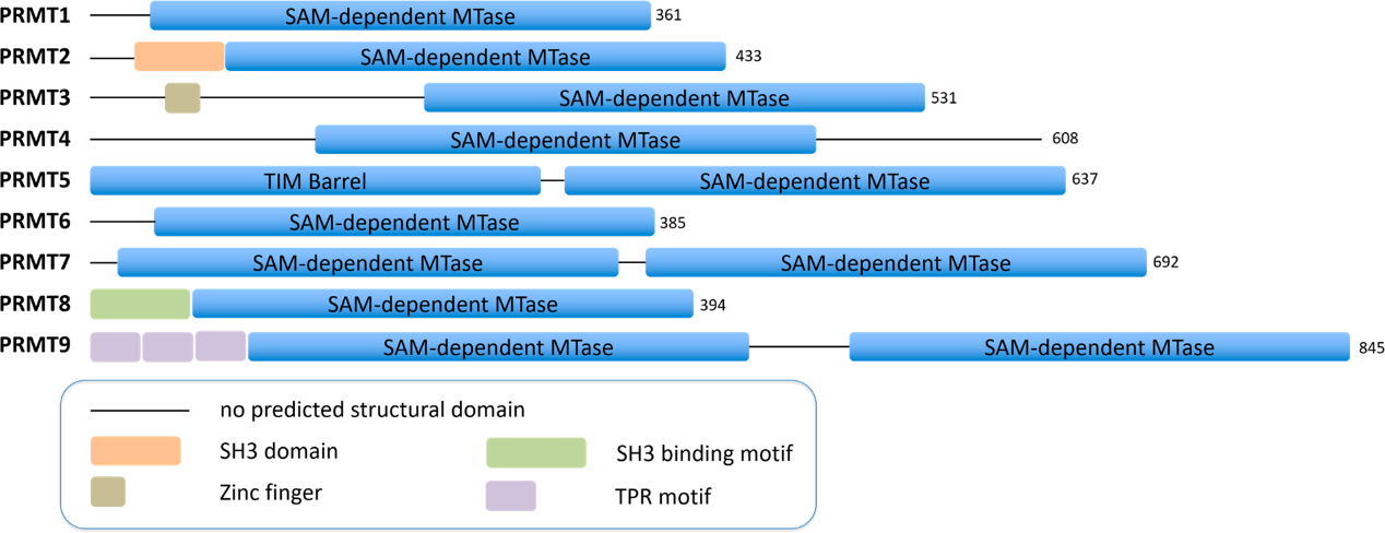 首页| 和记H88集团怡情博娱官网