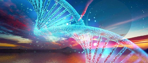 首页| 和记H88集团怡情博娱官网