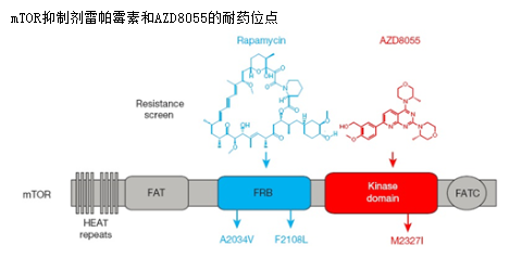 首页| 和记H88集团怡情博娱官网