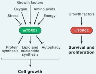 首页| 和记H88集团怡情博娱官网