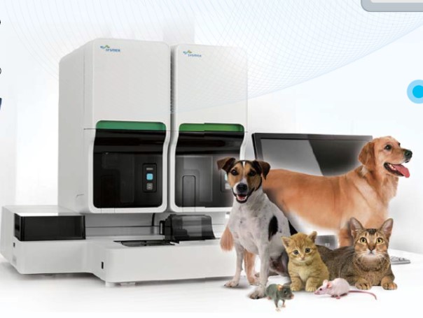 首页| 和记H88集团怡情博娱官网