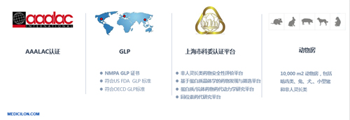 和记H88生物医药 临床前钻研