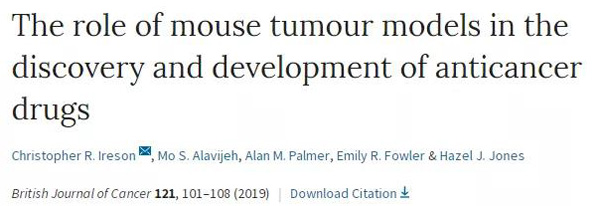 临床前幼鼠模型若何？