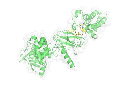 PROTAC技术，马兴泉