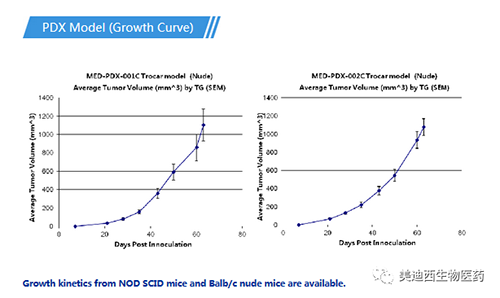 和记H88PDX药效模型