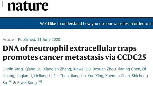 06月11日Nature杂志中山大学孙逸仙留想医院的科学家团队颁发的文章