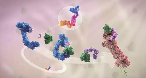 LYTAC出世，与PROTAC并肩作战针对不成成药的靶点