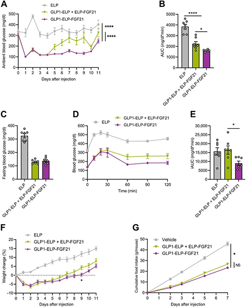 GLP1-ELP-FGF21双激昂剂大局在医治上优于GLP-1 / FGF21单激昂剂混合物 和记H88