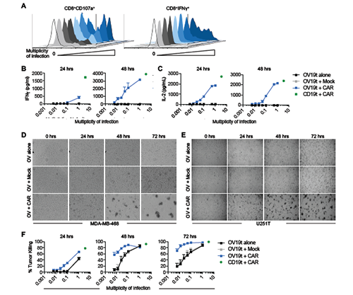 首页| 和记H88集团怡情博娱官网