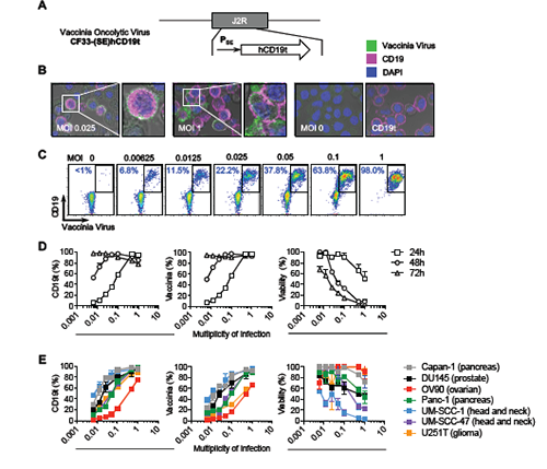 首页| 和记H88集团怡情博娱官网