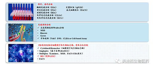 和记H88生物技术药物分析部服务内容