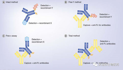 双抗药物分析必要Case by Case的思考