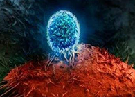 Nature：BATF3改善T细胞影象应答，有望改善免疫疗法的疗效