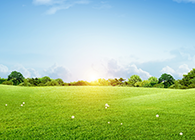 活动若何成为医治癌症的“一剂良药”今天我们终于知路了！